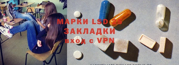 шишки Вязники