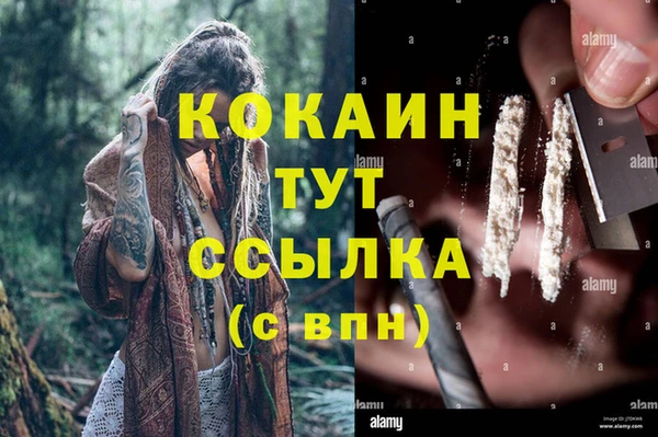 шишки Вязники